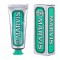 ITMV11 Marvis Classic Strong Mint Tooth Paste 25ml