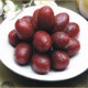 ST01 Spicy Olive 100g